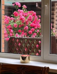 иїв, Райдужний Масив, вул. Садова, 54 фото 17 иїв, Райдужний Масив, вул. Садова, 54 фото 17