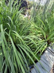 ����������� �������, � �.��������� 400�.��, 34 ����� ���� 11