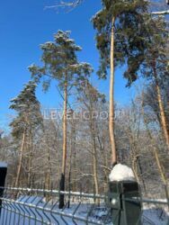 ������ �������� � �� 'TYSHA' � ���������� ���� 11