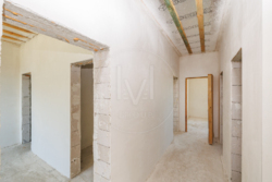 ������/�������/������ ���� 11