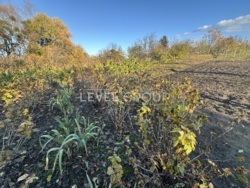 ������� � ��������� ������� ���� 6