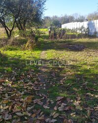 ��������������, 3��. �������, �� ��������� ������� 17+ �����, ���, �����'�������, ���. ������ (������), 7 ���� 4