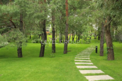 ������� ��������� ������� � ���������, �����. � ������� �� ���� ���� 10