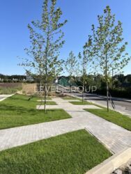 ����� ������� ����������� (�� ������� ������� Vilaggo) ���� 14