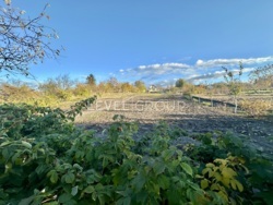 ������� � ��������� ������� ���� 1