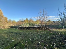 ������� � ��������� ������� ���� 2