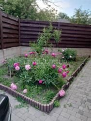 �������� �� ��������� ������� ��� ����� �� ���������� ����. �������������� ���������, ���������� ����� ���� 3