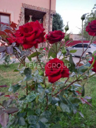 ������ ������� ��� ����������� ����� �� ������ � ���, ���������� �����, ������ ���. ���� 17