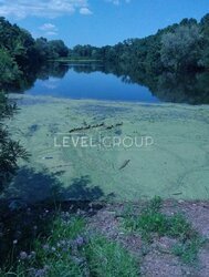 ������ ������� �� ������� ����, ��������� ³��-˳�������, �������� �����-�����, ���, �����������, ���. ˳�����, 19 ���� 11