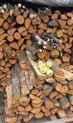 ������ ������� ��� ����������� ����� �� ������ � ���, ���������� �����, ������ ���. ���� 21