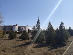 ������� 162 ��.�., �. ����������, ����������� �����, �� '���� ����������' ���� 5