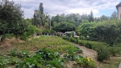 ������ ������� � ����, ����� 388 ��.�. ���� 14