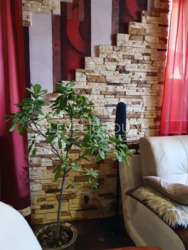 ��������� ������� ����� ������ ���., 60, ���������, ����������, ������� ���� 13