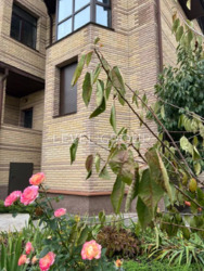 ������ ������� � ³��-��������� ���� 7