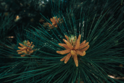 �� ��������� - ������, �������, ������������! ���� 26