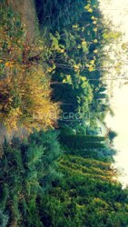 ��� � �������� ������� � ��������� � ������� �������� ���� 11