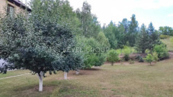 ������ ������� � ����, ����� 388 ��.�. ���� 10