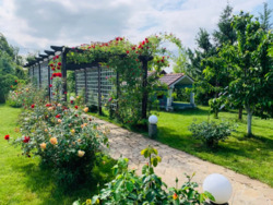 Продаж будинку (зруб) Старі Петрівці фото 4 Продаж будинку (зруб) Старі Петрівці фото 4