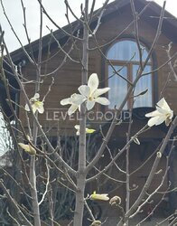 ���, ��������, ���. �������, 20� ���� 3