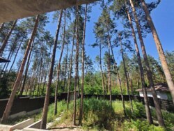 ������� ������ ���� � �������� ���� � ����������� ��� ������! ���� 6