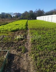 ��������������, 3��. �������, �� ��������� ������� 17+ �����, ���, �����'�������, ���. ������ (������), 7 ���� 5