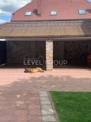 ������� � �. ���, ���. ����� �������� (���. ���������), ʲ� ���������, ���, ������� ���� 17