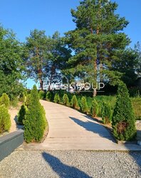 ������� �����, ����������� ����� | ���. ������������ ���� 9