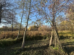 ������� � ��������� ������� ���� 10