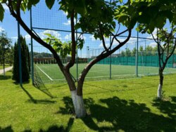 ������������� ������� � �� ����������� - ����� �����, � �� ������ �������! ���� 9