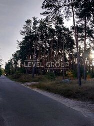 ������ ������� �� ������� ����, ��������� ³��-˳�������, �������� �����-�����, ���, �����������, ���. ˳�����, 19 ���� 14