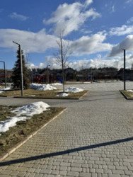 ������ ������ ������� � ����� ���� 7