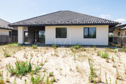 ������/�������/������ ���� 3