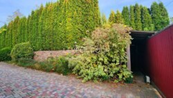 ��� � �������� ������� � ��������� � ������� �������� ���� 14