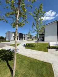 ����� ������� ����������� (�� ������� ������� Vilaggo) ���� 20