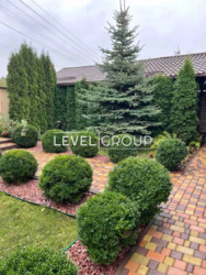 ������� 220 ��.�., 17,2 �����, ���������, ���. ����������� ���� 4