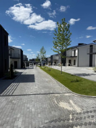 ����� ������� ����������� (�� ������� ������� Vilaggo) ���� 19