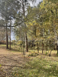 Продаж ділянки з будинком біля Голубого озера, с. Підгірці фото 5 Продаж ділянки з будинком біля Голубого озера, с. Підгірці фото 5