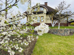  ,  ,    . ( -)    7