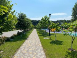 �� ��������� - ������, �������, ������������! ���� 6