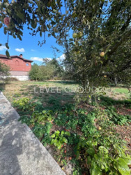 ������ �������, ���� �����. �����-�����. ���� 5