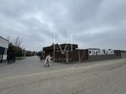 2    Crystal Forest .   15