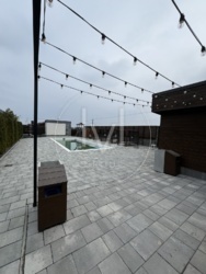 2    Crystal Forest .   16