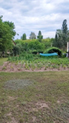 ������ ������� � ����, ����� 388 ��.�. ���� 13