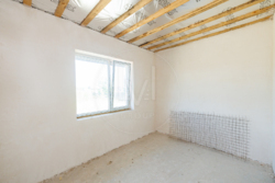 ������/�������/������ ���� 12