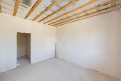 ������/�������/������ ���� 11