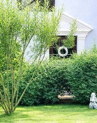 �. ���, ���������� �����, ��������� ��������, ���. ������. ĳ����� 10 �����. ���� 2