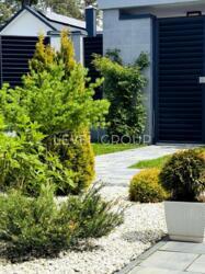 ������������ ������� � ������������ ������ ����, ���������� ����., 10 ���� 10