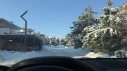 ������� �������� ������� Crystal Forest, ��������, ���, ���������. ���� 2