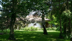 Будинок на Озері с. Гатне Одеське направлення фото 49 Будинок на Озері с. Гатне Одеське направлення фото 49