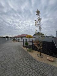 ������ ������� � ��������, ����������� ����� ���� 2